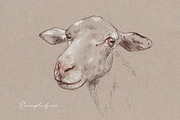 Charcoal Procreate Brushes & Paper, a Brushes & More by Pencil Twist (Thumbnail 6 of 6)