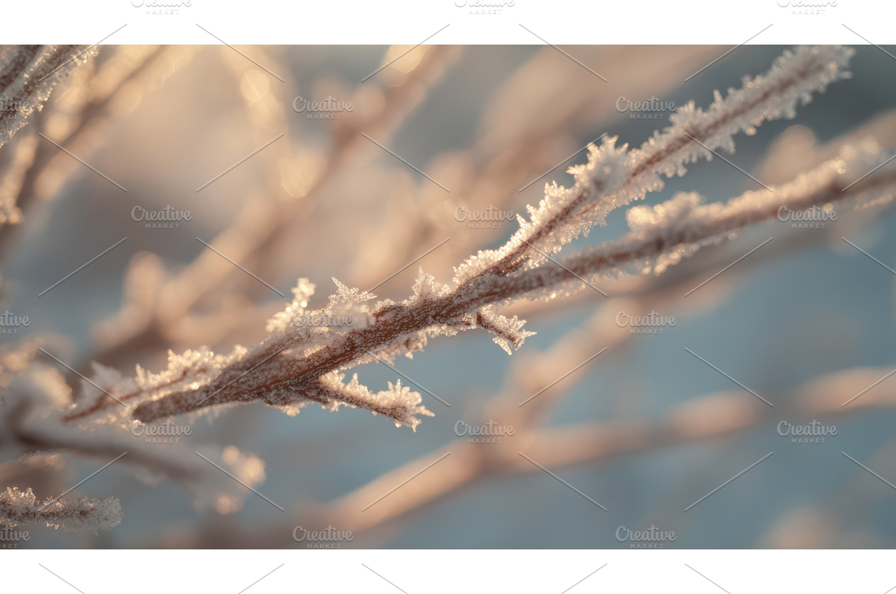 Close Up of Frost Covered Branches, a Background Photo by Lermont51