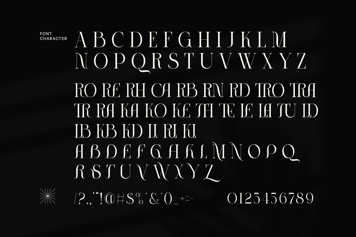 Camera Modern Serif Font, a Serif Font by Perfectype (Photo 8 of 8)