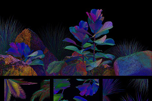 NEON Plants & Stones Collection 01