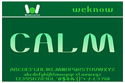 Daniel Font, a Font by weknow (Thumbnail 2 of 5)