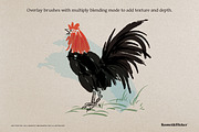 Vector Ink Calligraphy Brushes, a Brush Add-On by Komet & Flicker (Thumbnail 7 of 12)