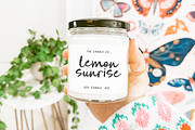 Wild Tansy Font Duo, a Script Font by KA Designs (Thumbnail 8 of 15)