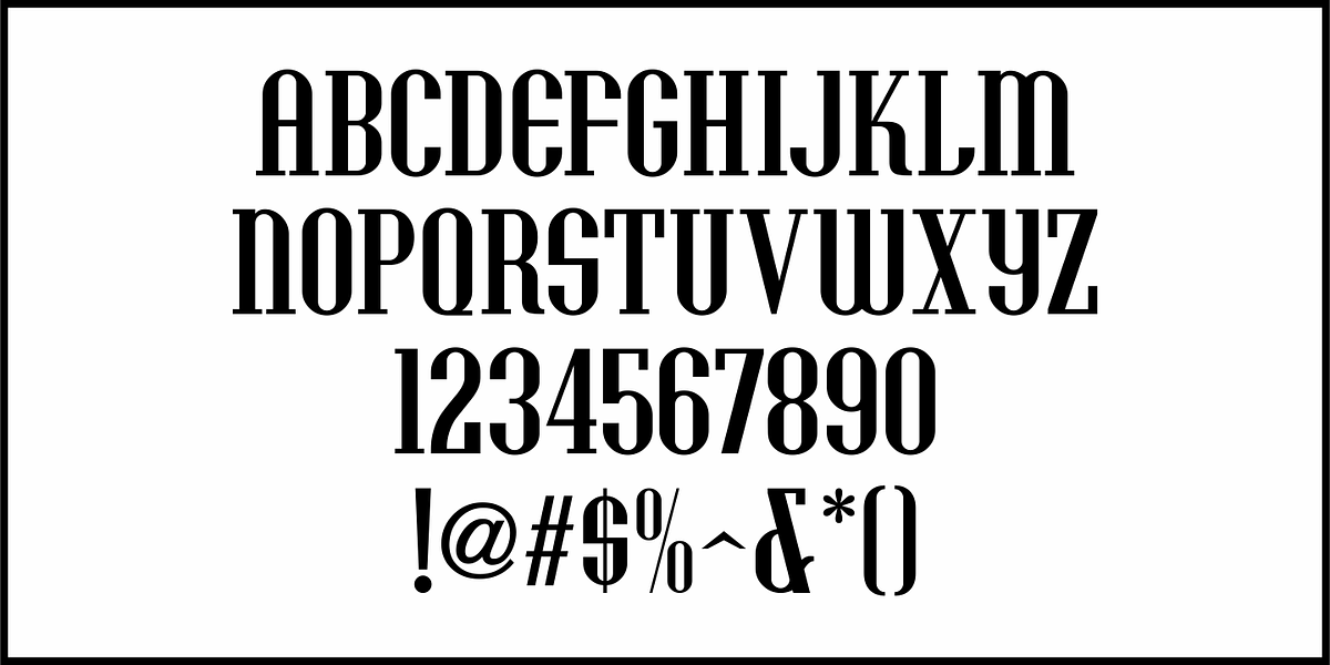 Vacation Resort JNL, a Serif Font by Jeff Levine Fonts (Photo 3 of 5)