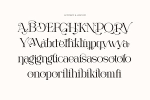 Rangita Elegant Ligature Serif Font