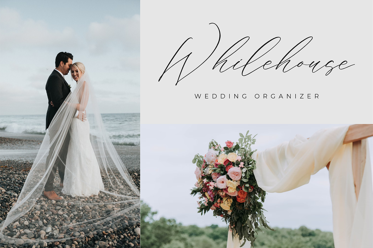 Liontinela Realise Chic Calligraphy, a Script Font by Storytype Studio (Photo 8 of 15)
