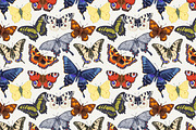 Vintage butterflies seamless pattern, a Pattern Graphic by Good Studio (Thumbnail 2 of 8)
