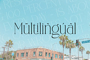 CANOVER | Ligature Serif, a Serif Font by ToniStudio (Thumbnail 9 of 11)