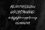Polandic SVG Brush Font, a Handwritten Font by MACK 75 (Thumbnail 7 of 10)