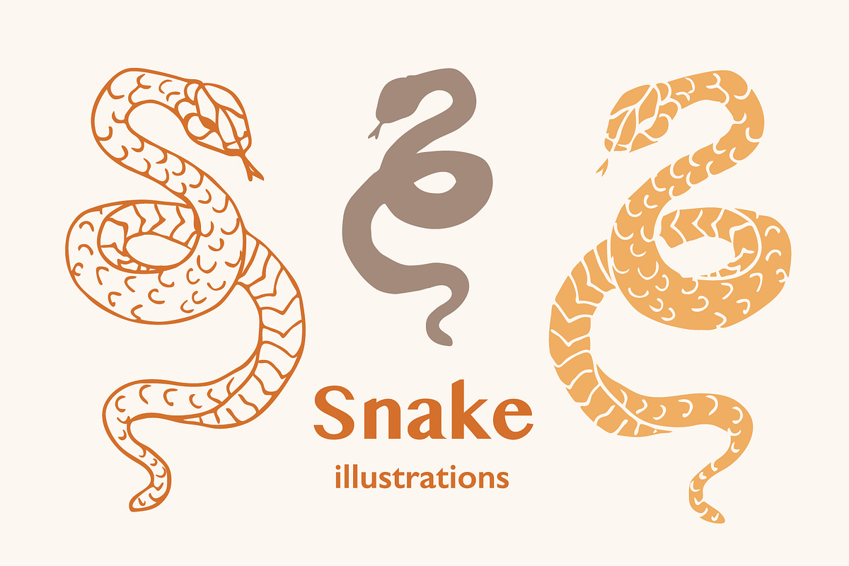 Hand drawn Snake illustrations, an Animal Illustration by Annakaroline