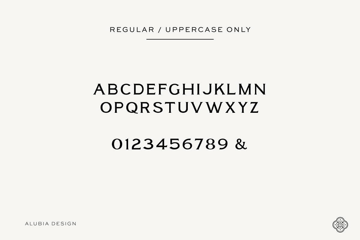 Granada - Editorial Serif, a Serif Font by Alubia design (Photo 7 of 11)