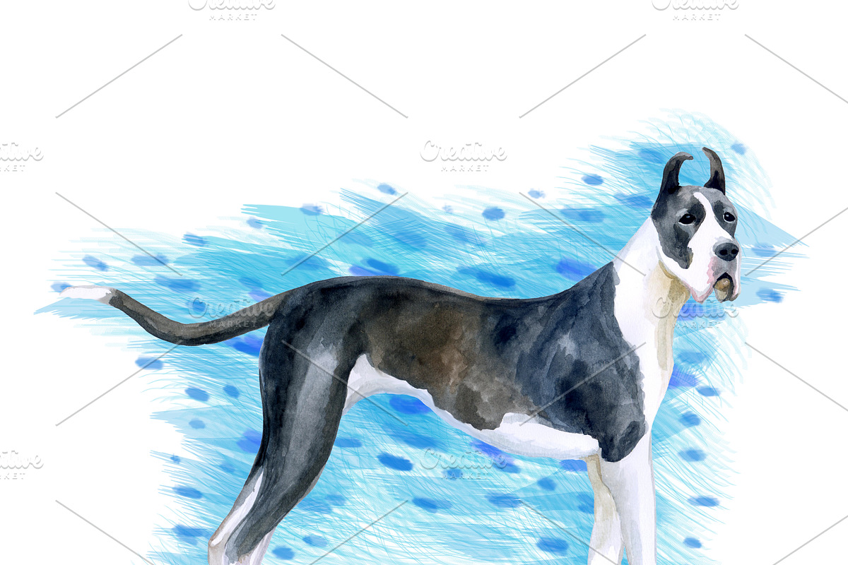 Watercolor Dogs Mega Big Bundle, an Illustration by Dneprstock (Photo 36 of 60)