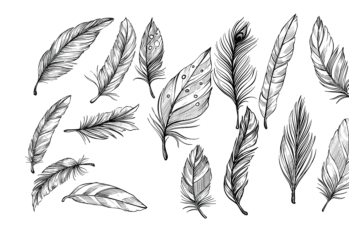 feather handdrawn collection, an Object Graphic by nikagraphic