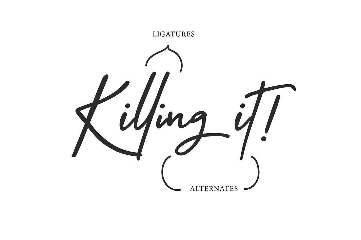 Crystal Castle Font + Logos, a Script Font by theinkaffair (Photo 10 of 11)