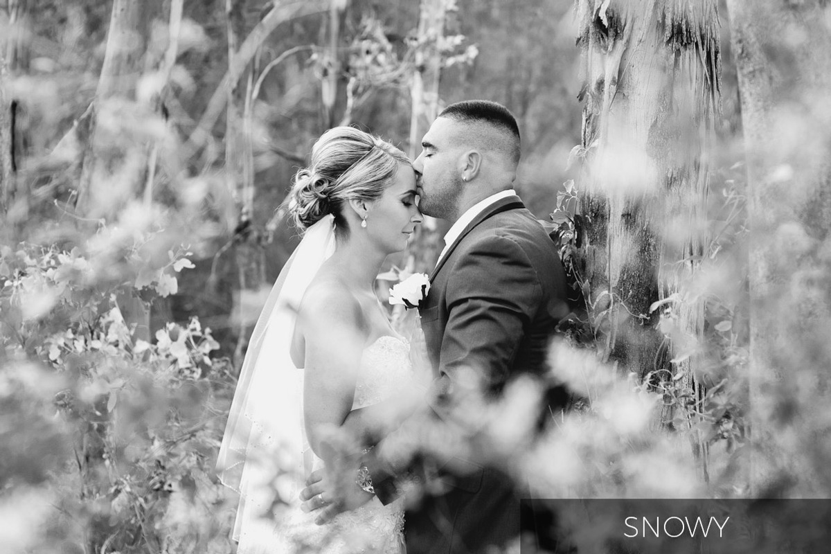 Black and White Lightroom Presets, a Plug-in Add-On by h.utomo (Photo 7 of 10)