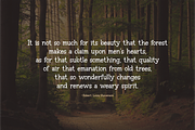 Tompkins a Vintage Slab Serif Font, a Serif Font by Vilogsign (Thumbnail 7 of 8)