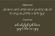 Blinka Bold Script Serif Font Duo, a Script Font by WhymoreArt (Thumbnail 10 of 11)