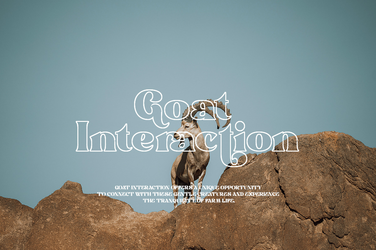 Emerge - Modern Poster Typeface, a Serif Font by Sohel Studio (Photo 6 of 10)
