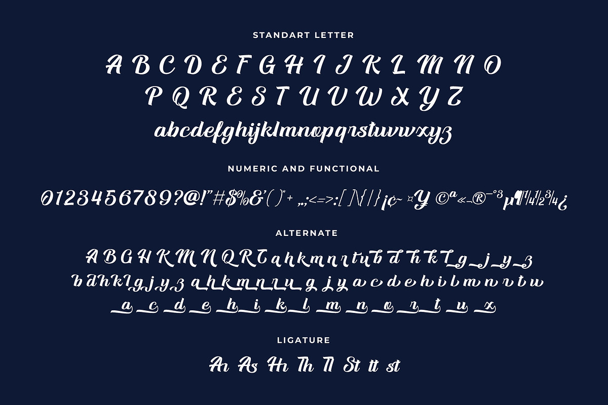 Andior Bold Script Font, a Script Font by RantautypeStudio (Photo 12 of 13)