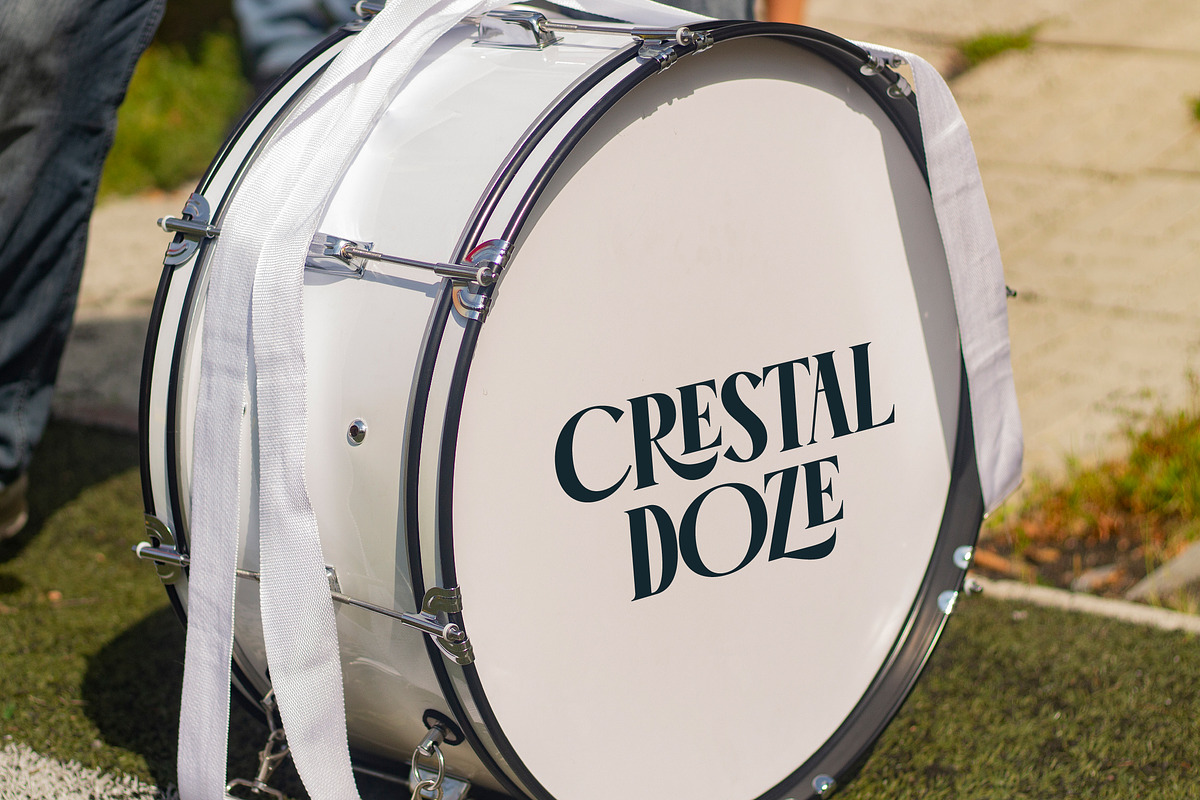 Garaleo Modern Luxury Serif, a Script Font by timelesstype.co (Photo 2 of 20)