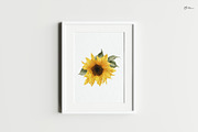 Sunny sunflowers, watercolor flowers, a Texture Illustration by ollalya (Thumbnail 14 of 16)