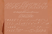 Artfully Stylish, a Script Font by operatype.co (Thumbnail 13 of 15)