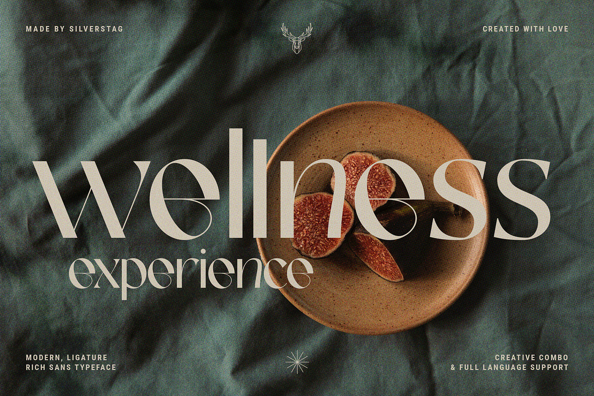 FRENCH CHATEAUX - Chic Display Font, a Sans Serif Font by SilverStag Type Foundry (Photo 16 of 22)
