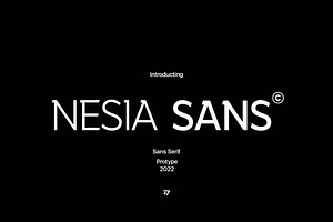 Nesia Sans Font, a Slab Serif Font by Ryan Rivaldo Vierra