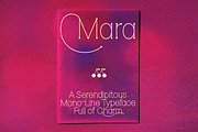 Mara - A Charming monoline font, a Font by Press & Pen (Thumbnail 1 of 12)