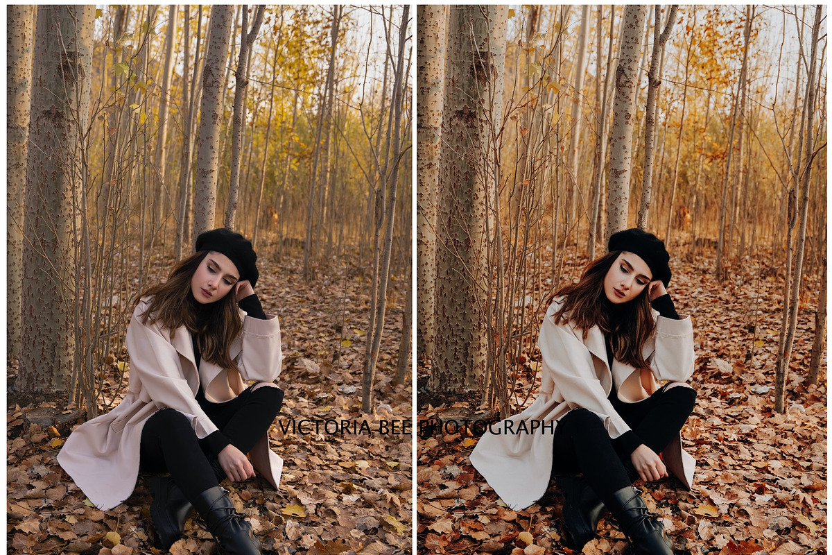 RICH AUTUMN LIGHTROOM PRESETS, a Preset Add-On by Victoria Bee Presets (Photo 3 of 9)