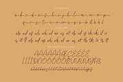 Faugllin Balseyn | Handwritten Font, a Script Font by gracetype_studio (Thumbnail 12 of 13)