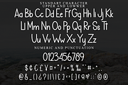 Simple Harmonic, a Sans Serif Font by FreshTypeINK (Thumbnail 5 of 8)