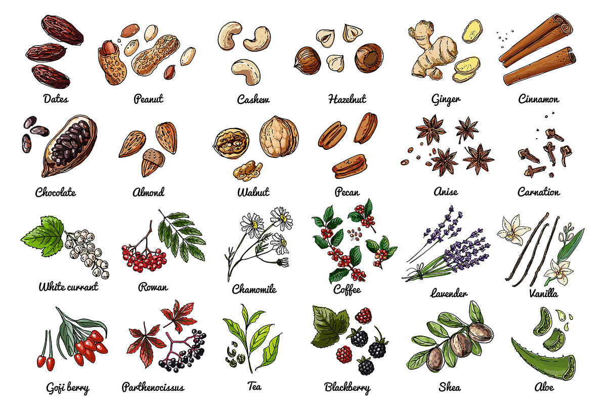 Vector food: vegetables and fruits, a Food Illustration by irina.vaneeva (Photo 3 of 16)