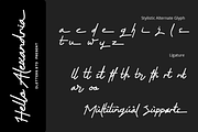 Hello Alexandria – Modern Handwritte, a Script Font by DiosiArt (Thumbnail 3 of 11)