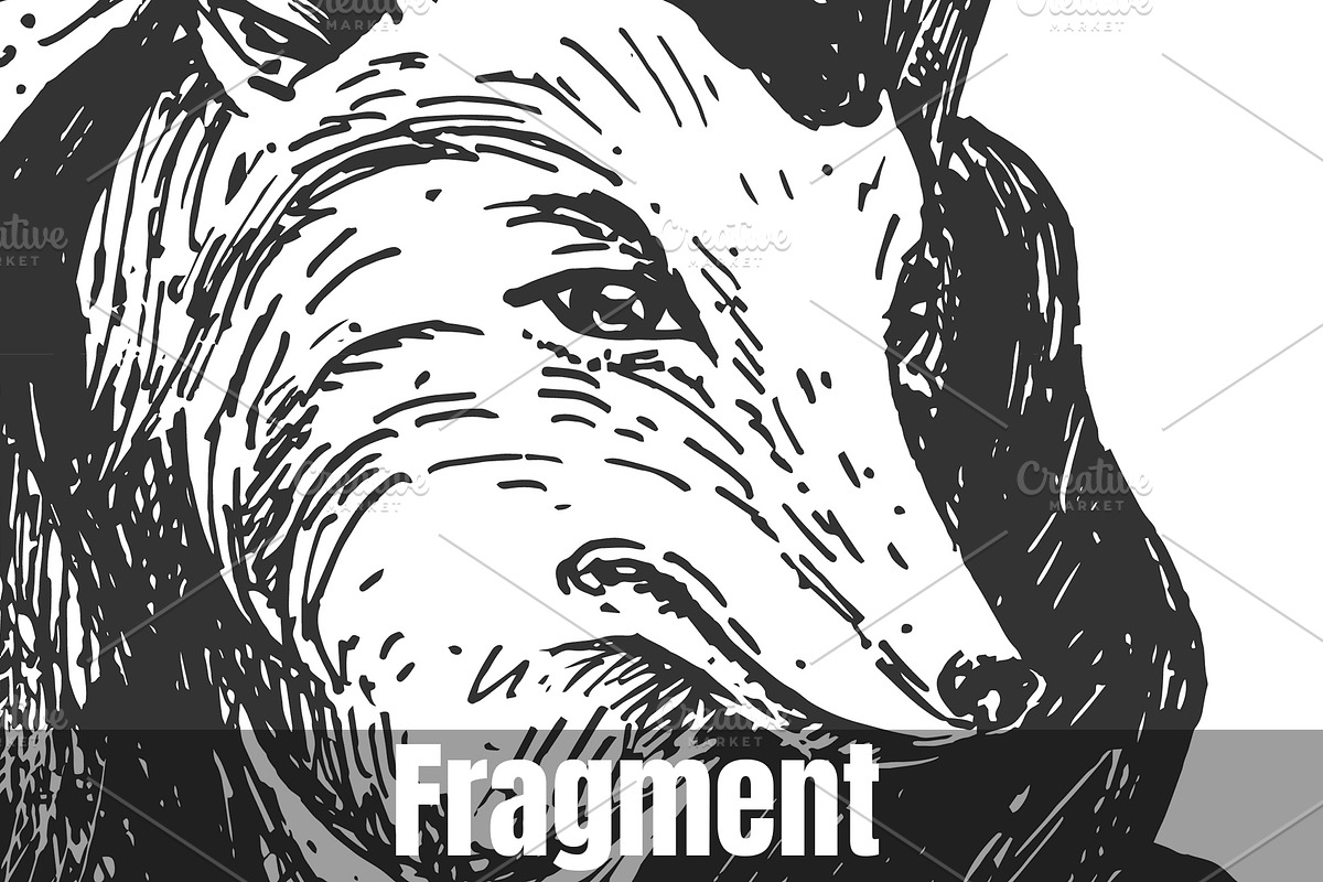 Lady fox dressed in retro style, an Animal Illustration by CatMadePattern (Photo 2 of 2)