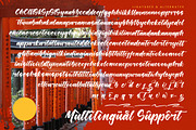 Shinobi Morning Bold Calligraphy, a Script Font by stylishtype.co (Thumbnail 19 of 20)