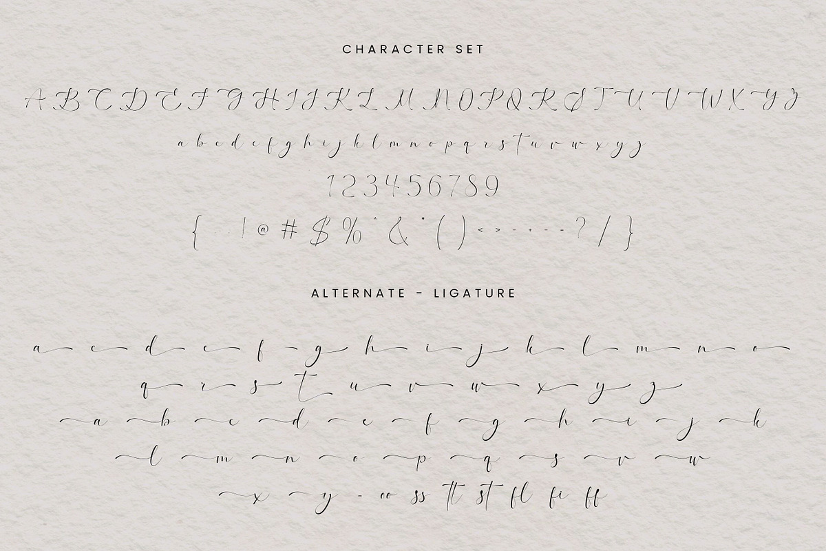 Sanitharie – Modern Script, a Script Font by Imiftype Studio (Photo 10 of 10)