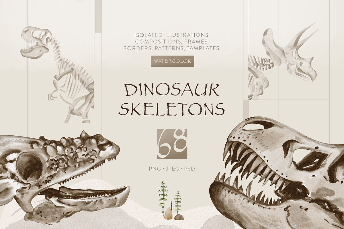 Dinosaur Skeletons Clip Art, an Illustration by Alena Sid (Photo 1 of 13)