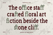 Inkquest - Rough Vintage Slab Serif, a Slab Serif Font by Typia Nesia (Thumbnail 8 of 12)