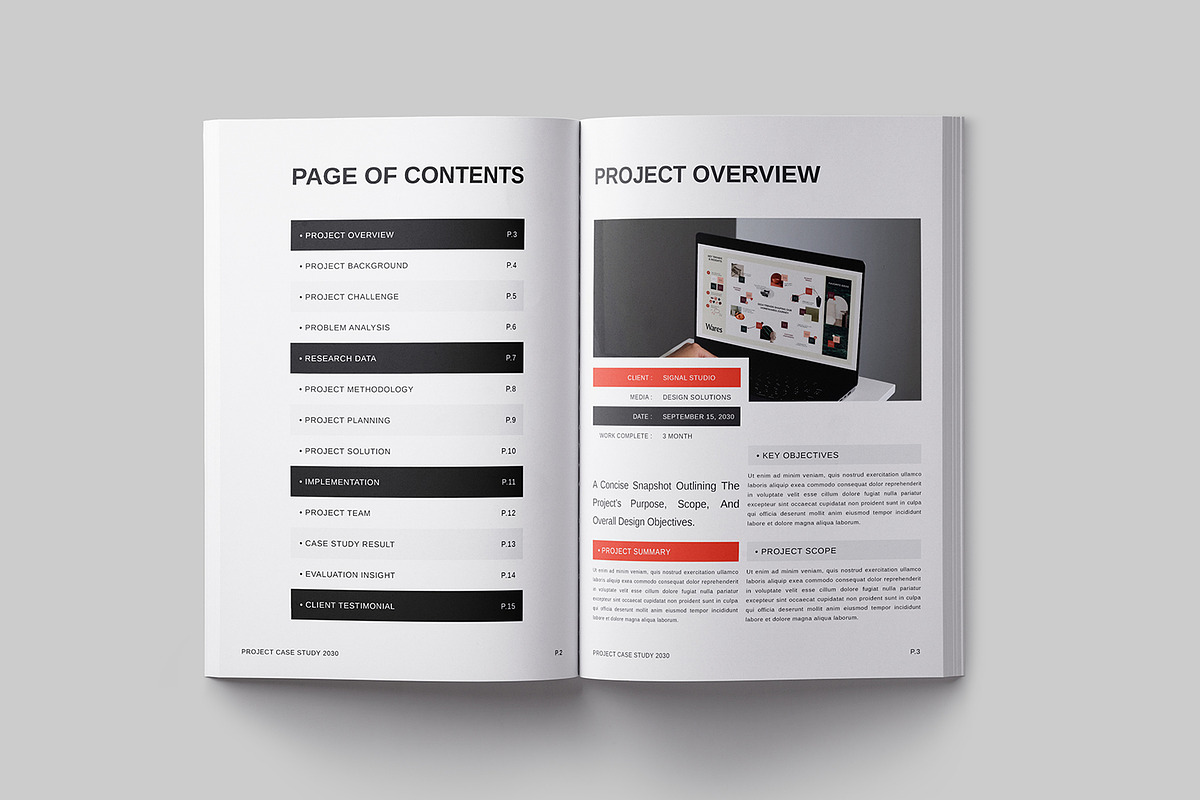 Project Case Study Template, a Brochure Template by Designsoul14 (Photo 5 of 10)