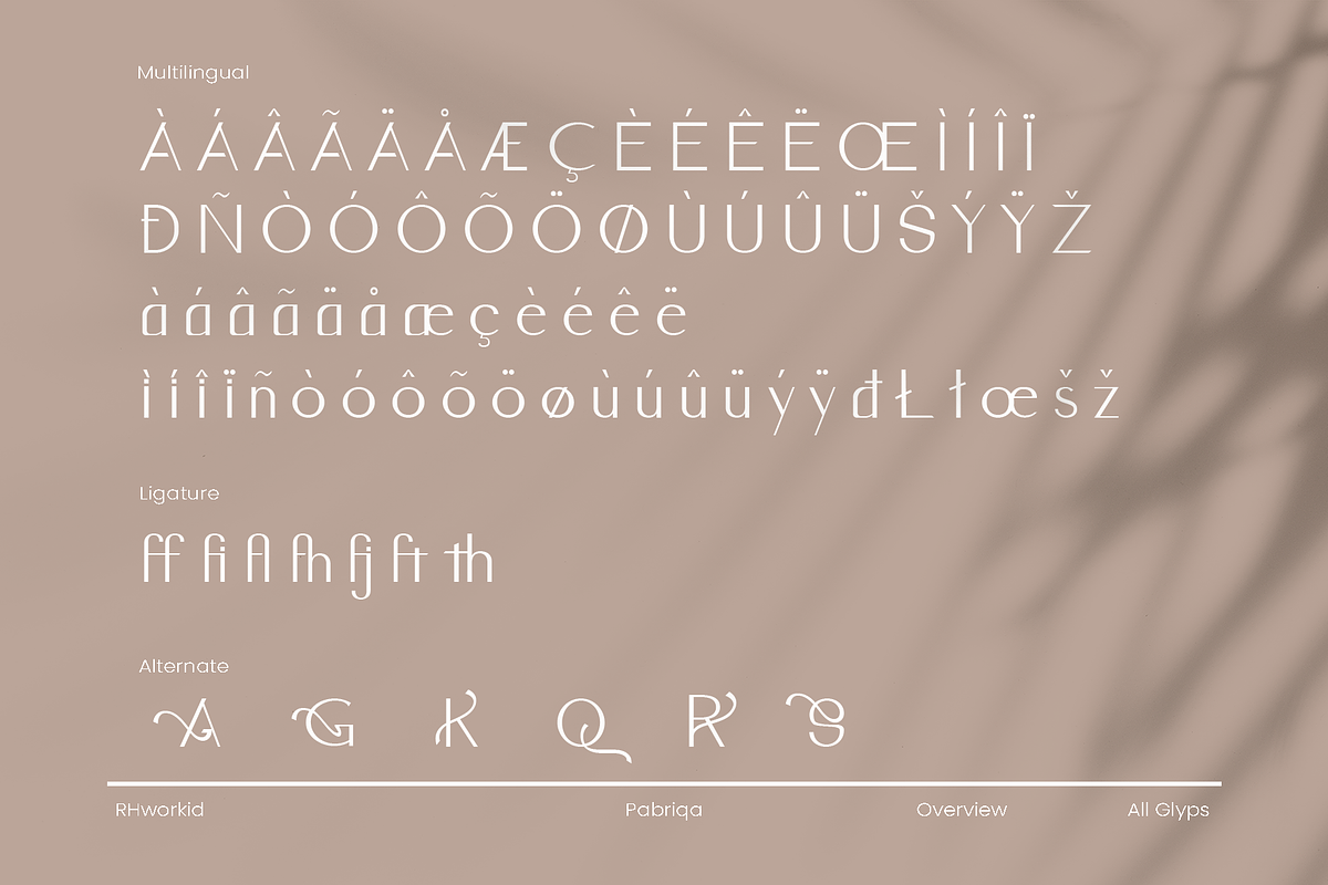 Pabriqa Font, a Sans Serif Font by Rhtype (Photo 7 of 9)