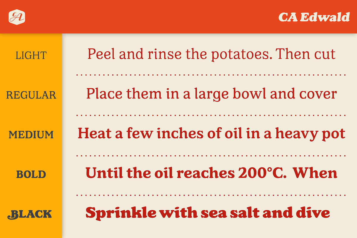 CA Edwald, a Serif Font by Cape Arcona Type Foundry (Photo 7 of 10)