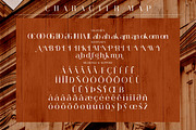 Abigate Desgo Stylish Serif Font, a Serif Font by Storytype Studio (Thumbnail 7 of 8)