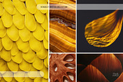 Warm Earth | 290 Earth Tone Photos, a Nature Photo by Tale.Haus (Thumbnail 13 of 18)