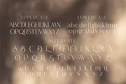 Queensila is a comely serif styled, a Font by zamjumps (Thumbnail 10 of 12)