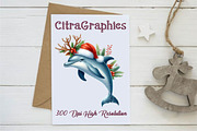 Watercolor Dolphin Christmas Clipart, a Graphic by CitraGraphics (Thumbnail 4 of 6)