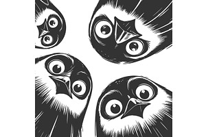 Curious Cartoon Penguins Looking, an Animal Illustration by AlexArt