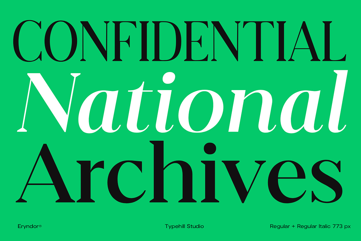 Eryndor, a Serif Font by Typehill (Photo 10 of 13)