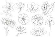71 Flowers Continuous Line Set, a Decorative Illustration by Sunset&Sea Design (Thumbnail 4 of 8)