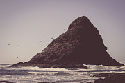 Vintage Coastal Photo Pack, a Nature Photo by COOL SNACKS (Thumbnail 7 of 9)